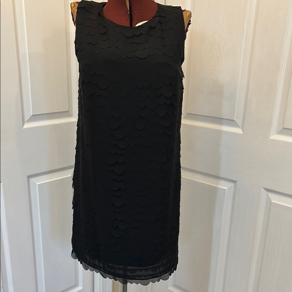 Elegant Black Sleeveless Dress